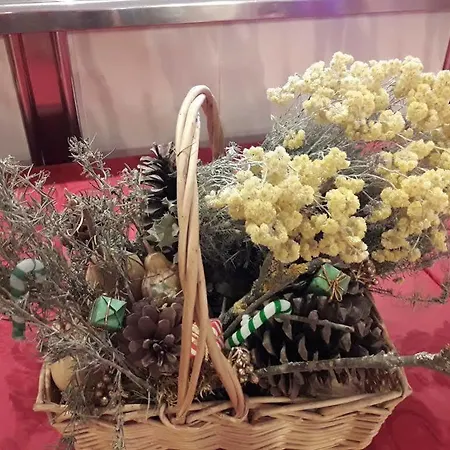 게스트하우스 Casa Barcelo 3*