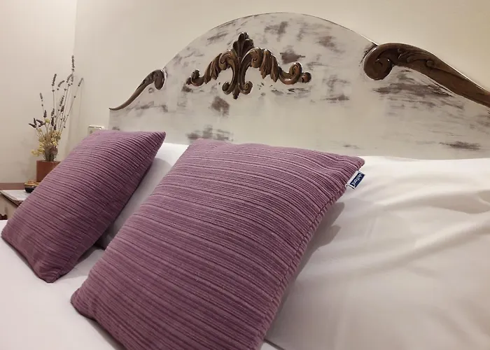 Casa Barcelo 3*